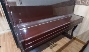 Jual Piano Bekas Pearl River UP118