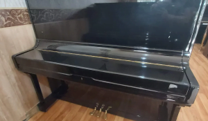 Jual Piano Bekas Pearl River UP130
