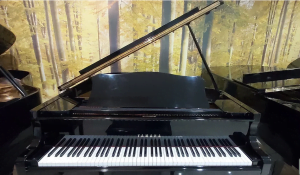 Jual Grand Piano Yamaha G2E