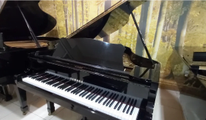 Jual Grand Piano Yamaha G2E