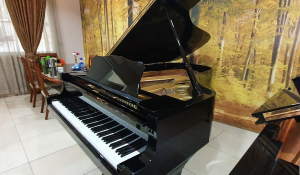 Grand Piano Yamaha C7B