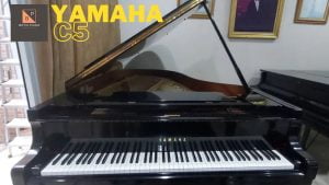 Grand Piano Yamaha C5