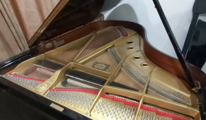 Grand Piano Yamaha C5