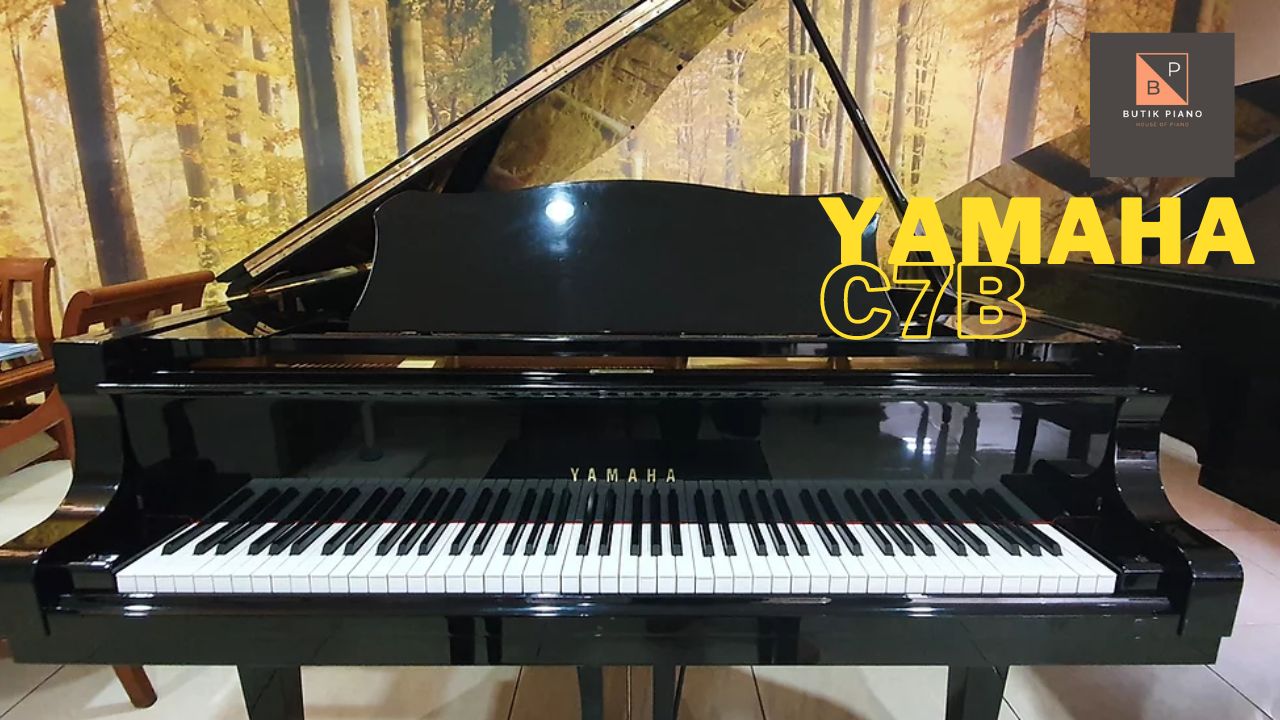 Yamaha C7B