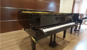 Grand Piano Pearl River GP150