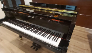 Grand Piano Pearl River GP150