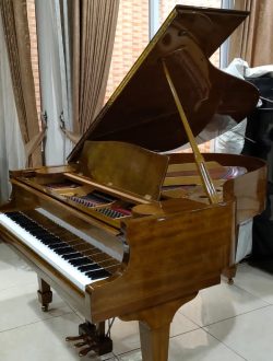 Grand Piano Yamaha C3