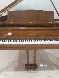 Grand Piano Yamaha C3