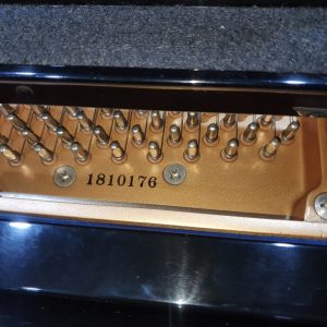 Grand Piano Kawai KG6E