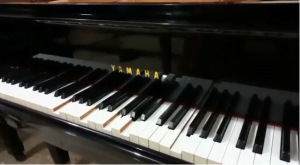 Jual Baby Grand Piano Yamaha