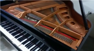 Jual Baby Grand Piano Yamaha