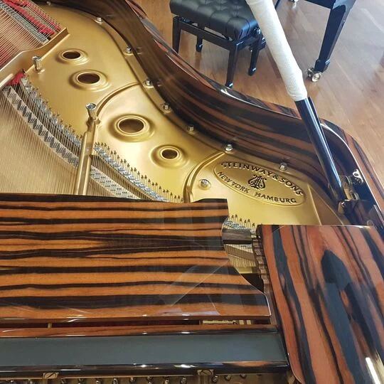 Detail plate Steinway & Sons Type A