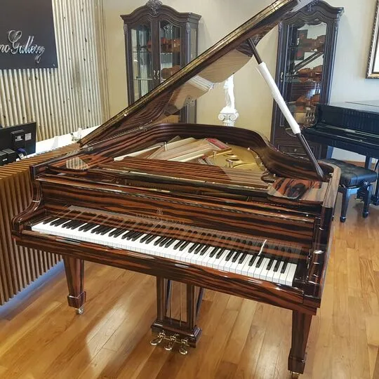Detail Grand Piano Steinway & Sons Type A 188 cm