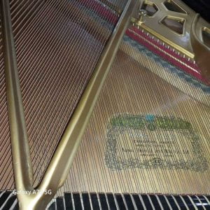 Grand Piano Kawai Type 500