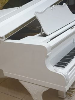 Jual Grand Piano Petrof