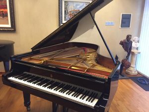 Steinway and Sons B211