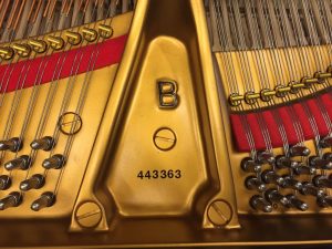 Steinway and Sons B211