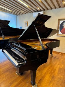 Steinway and Sons Model D