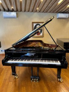 Steinway and Sons Model D