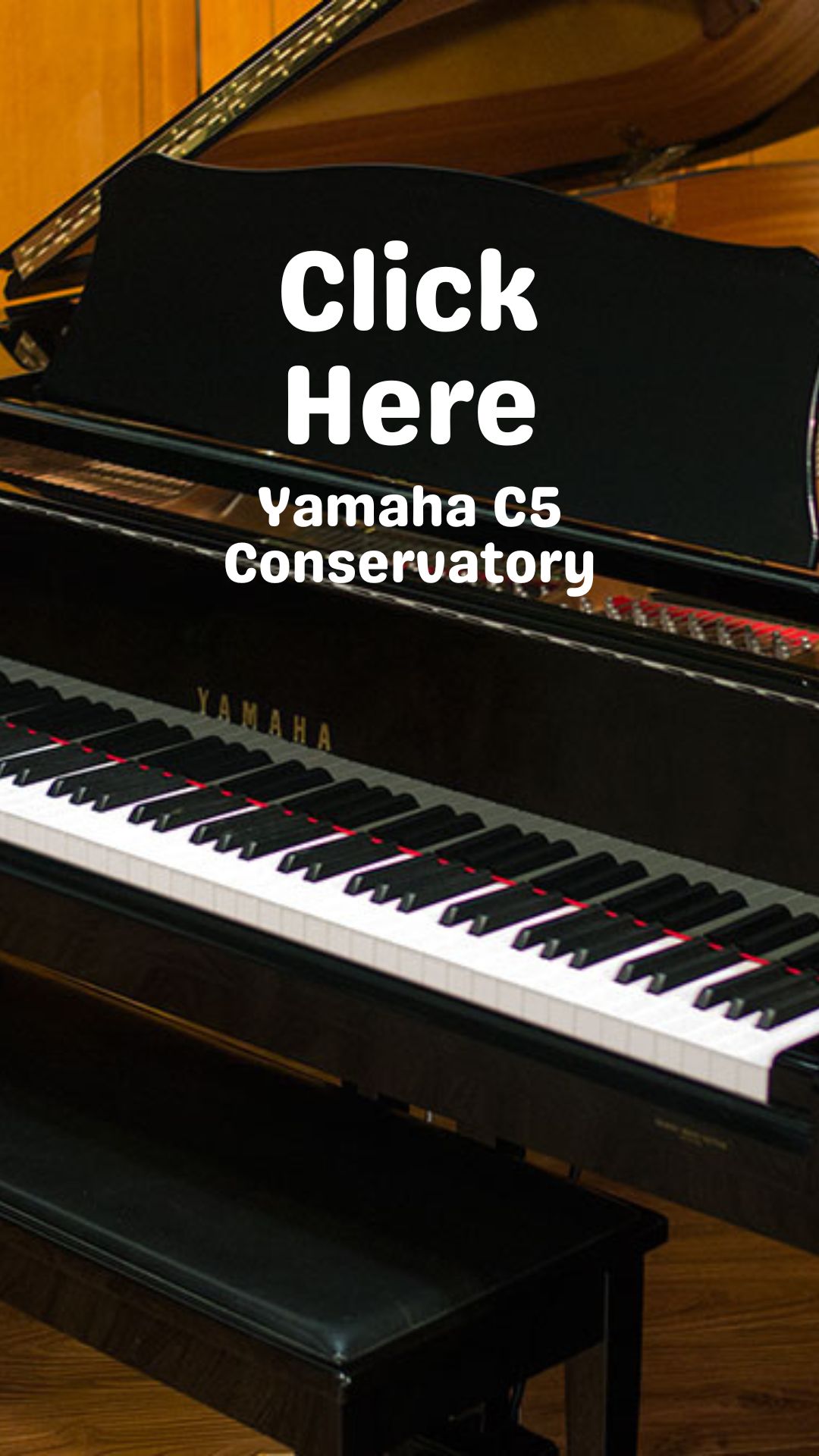 Piano Grand Yamaha C5 Conservatory Butik Piano: Pilihan Terbaik untuk Pianis Profesional