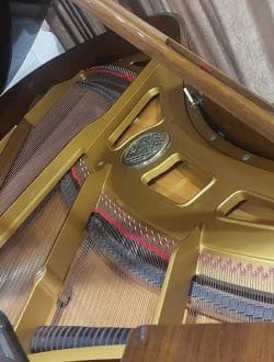 Grand Piano Petrof Chippendale