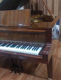 Grand Piano Petrof Chippendale