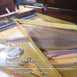 Petrof Piano Model III