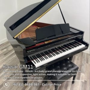 Kawai GM11