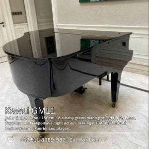 Kawai GM11