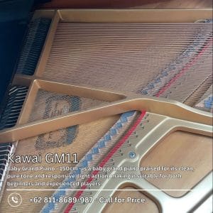 Kawai GM11