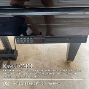 Kawai GM11