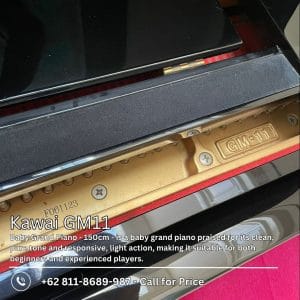 Kawai GM11