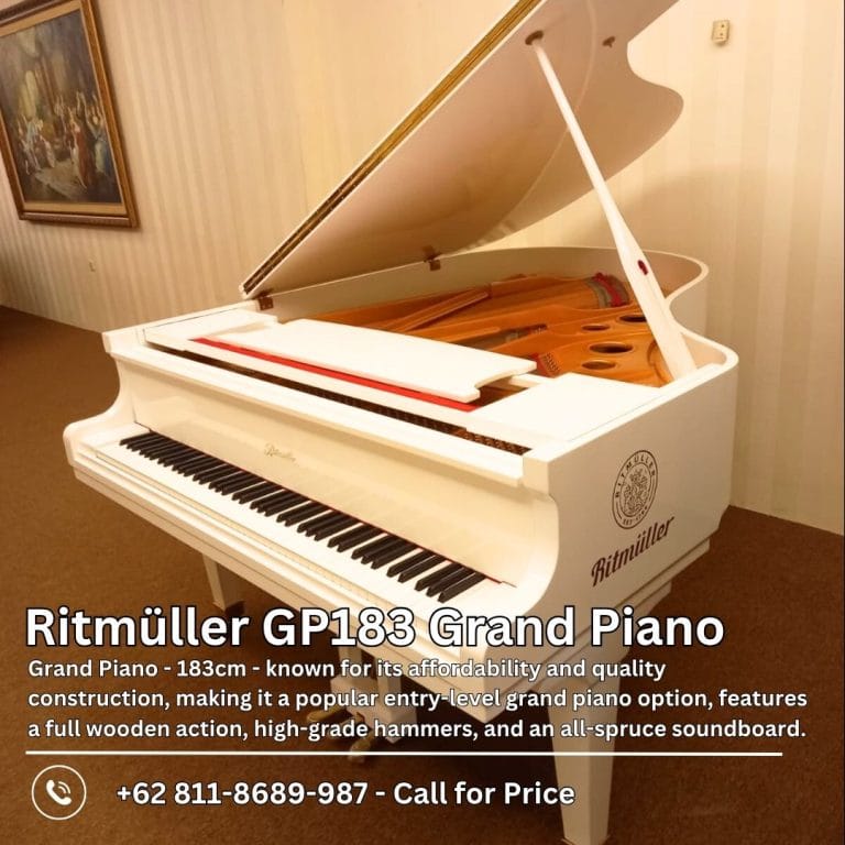 Mengenal Ritmuller GP183R1