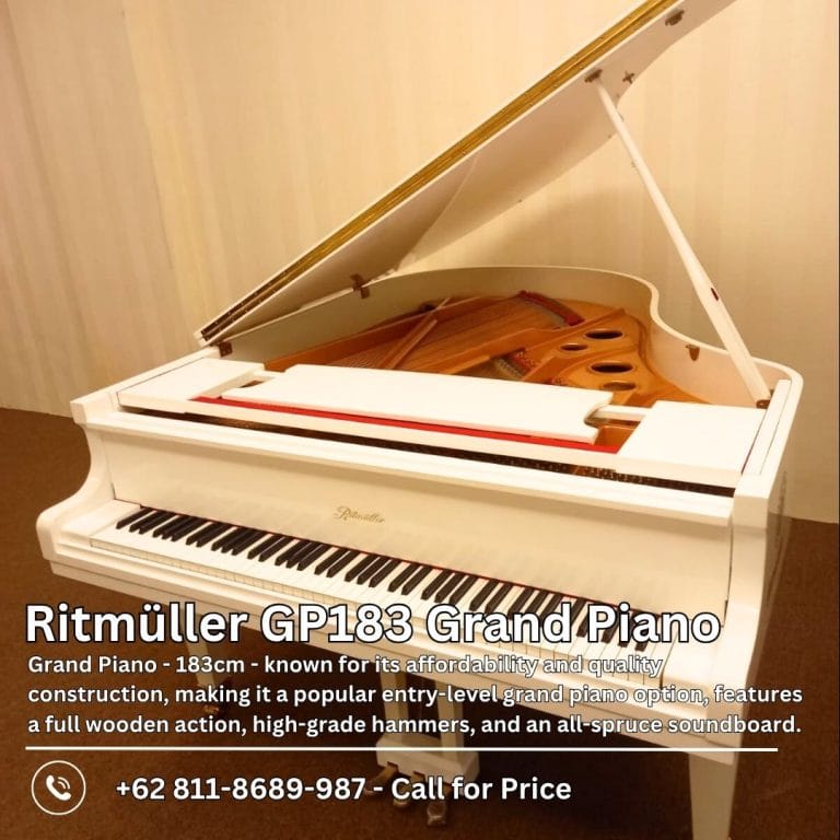 Mengenal Ritmuller GP183R1