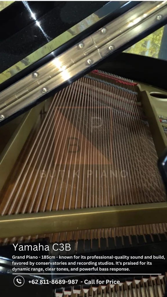 Detail senar Yamaha C3B Grand Piano