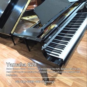Yamaha G2E