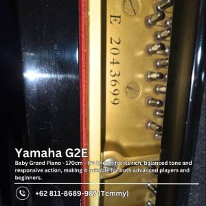Yamaha G2E