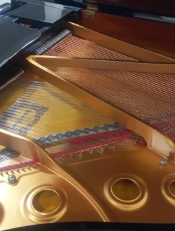 Jual Baby Grand Yamaha A1L
