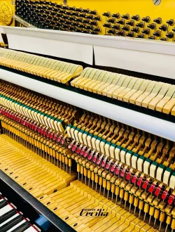 Jual Piano Kawai KU1