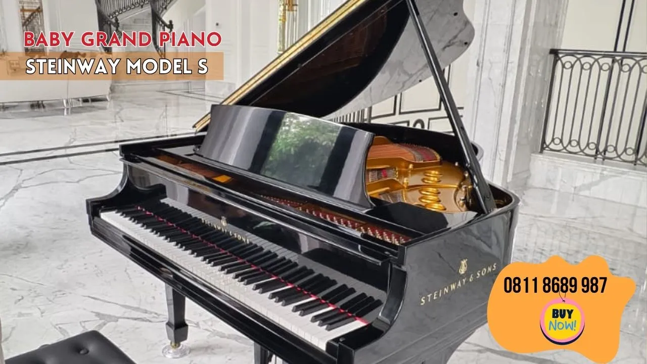 Grand Piano Steinway S