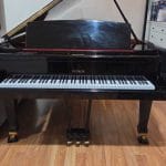 Petrof Model 1 Grand